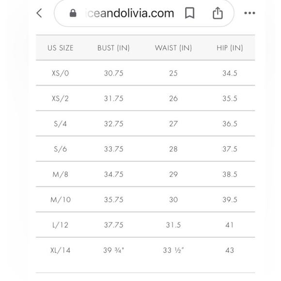 NWT $1000 Alice + Olivia Chicago Sequin Fringe Mini Dress Gunmetal Silver Sz 0 - Picture 8 of 16